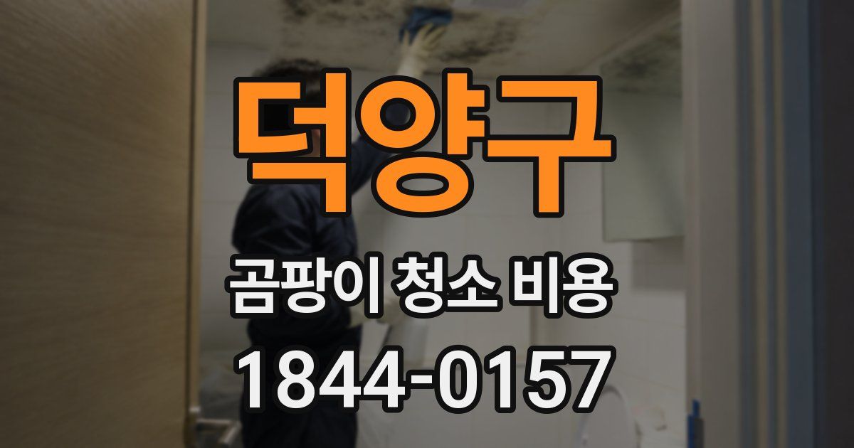 덕양구 곰팡이 청소 비용