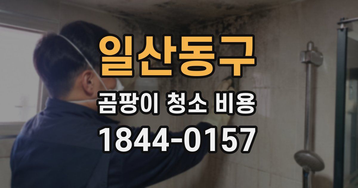 일산동구 곰팡이 청소 비용