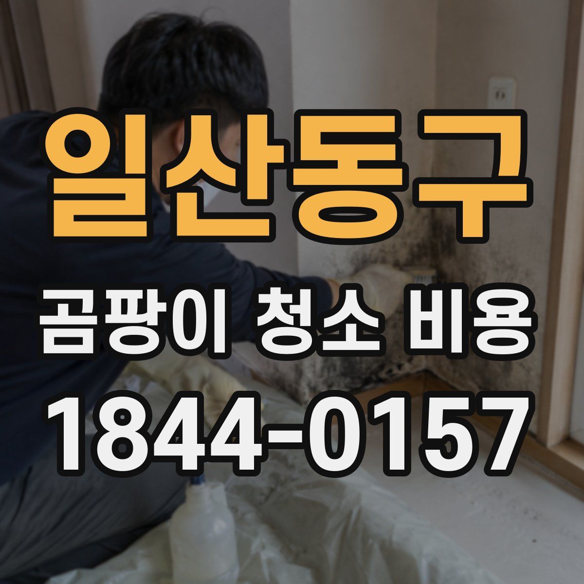 일산동구 곰팡이 청소 비용