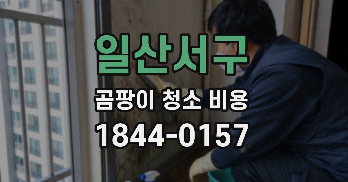 일산서구 곰팡이 청소 비용