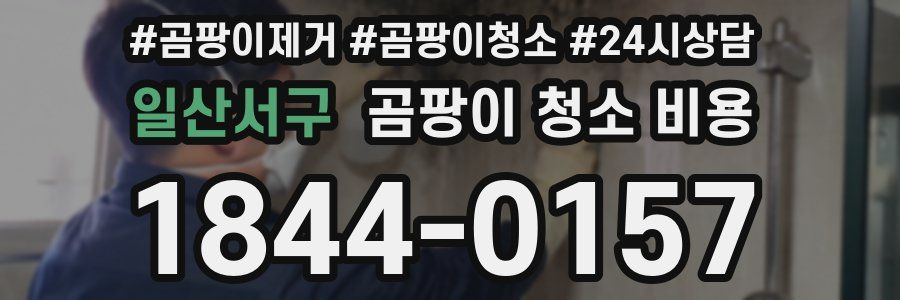 일산서구 곰팡이 청소 비용