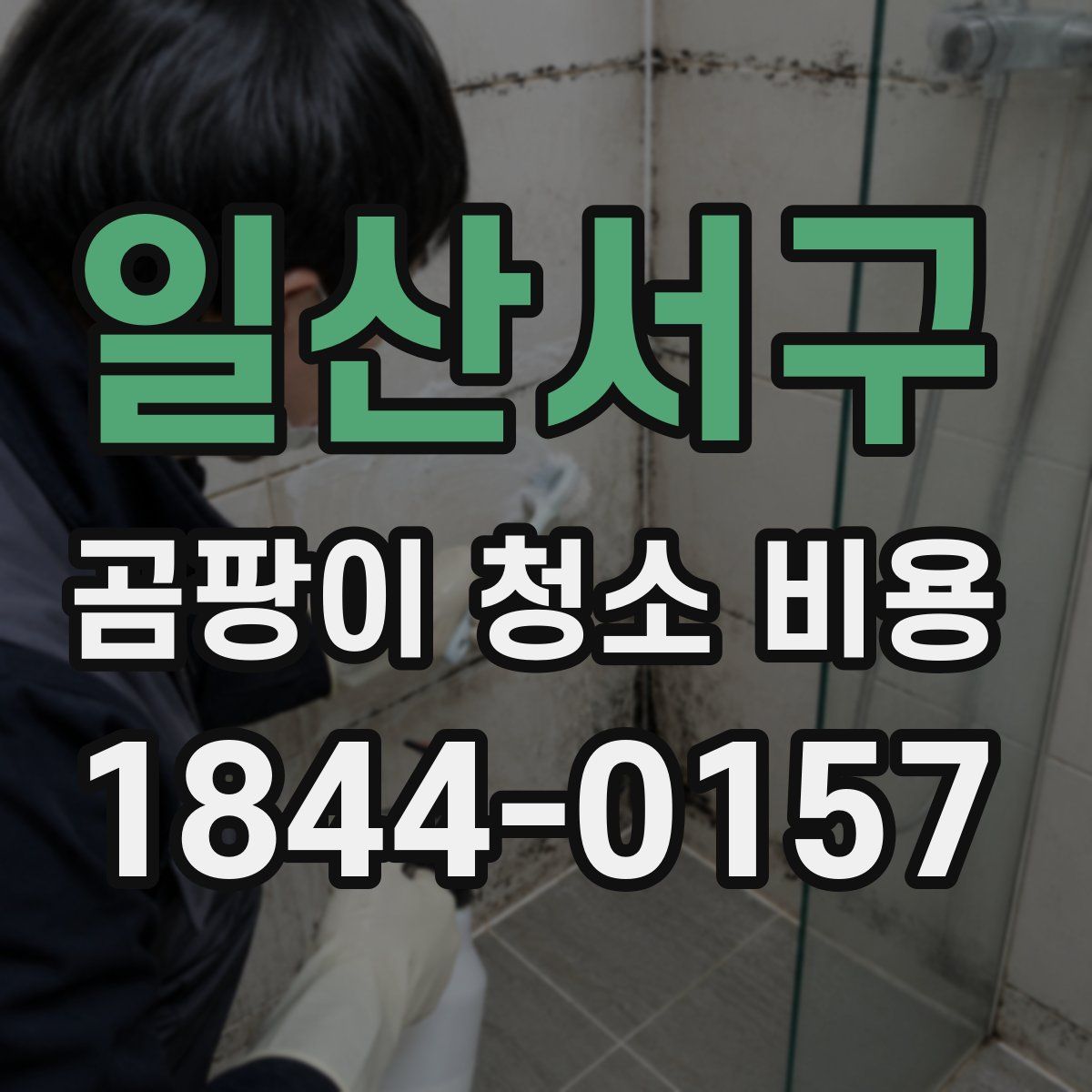 일산서구 곰팡이 청소 비용