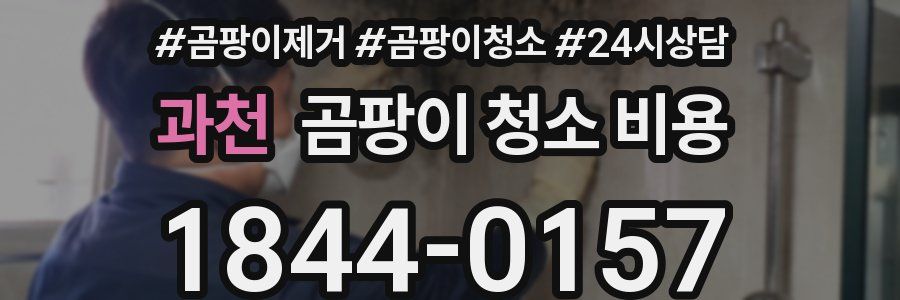 과천 곰팡이 청소 비용