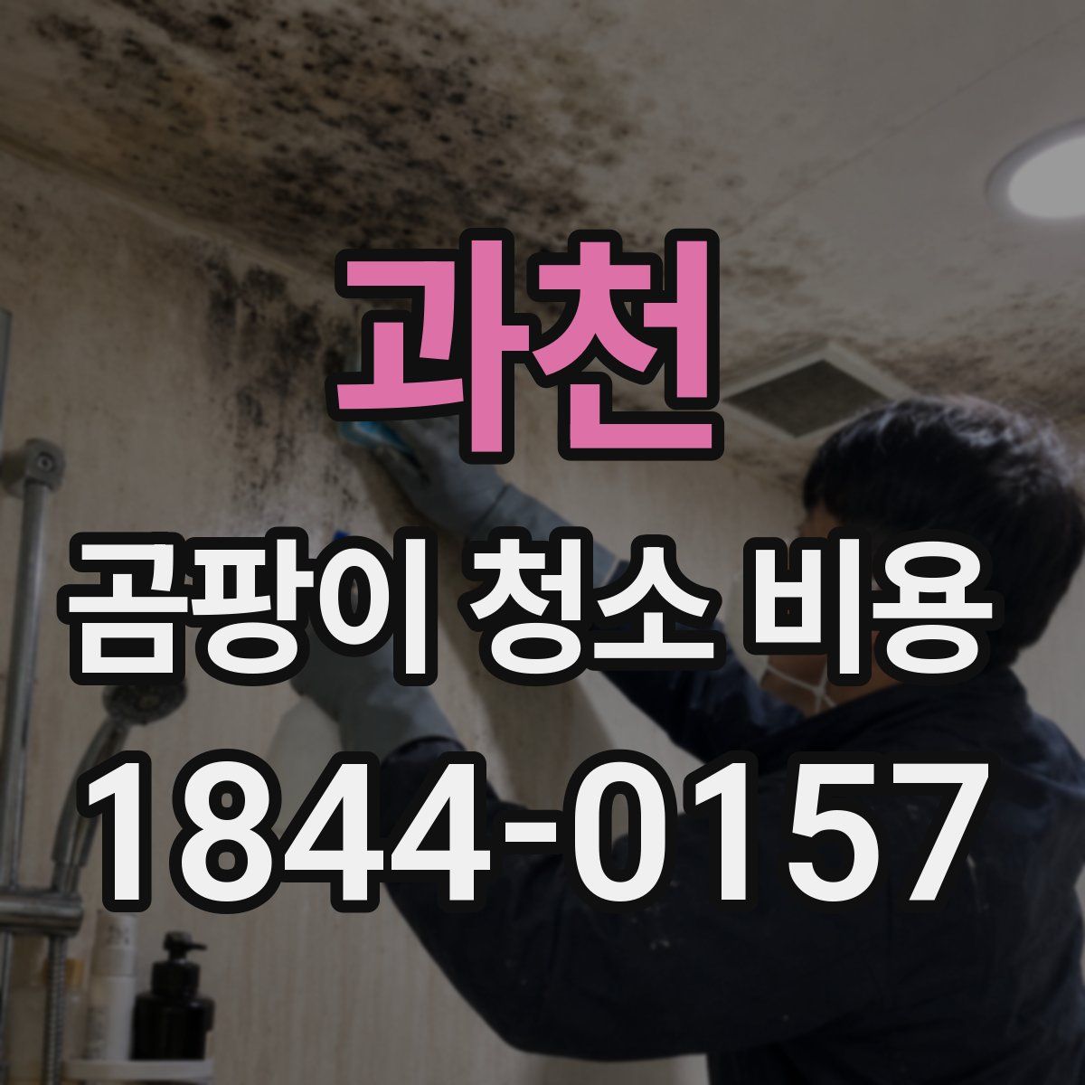 과천 곰팡이 청소 비용