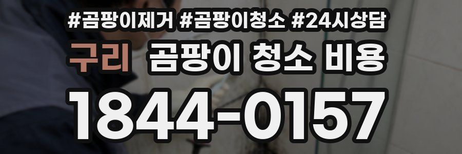 구리 곰팡이 청소 비용