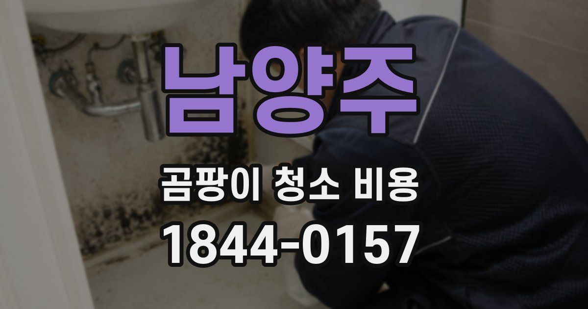 남양주 곰팡이 청소 비용