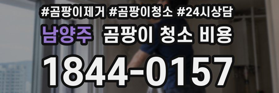 남양주 곰팡이 청소 비용