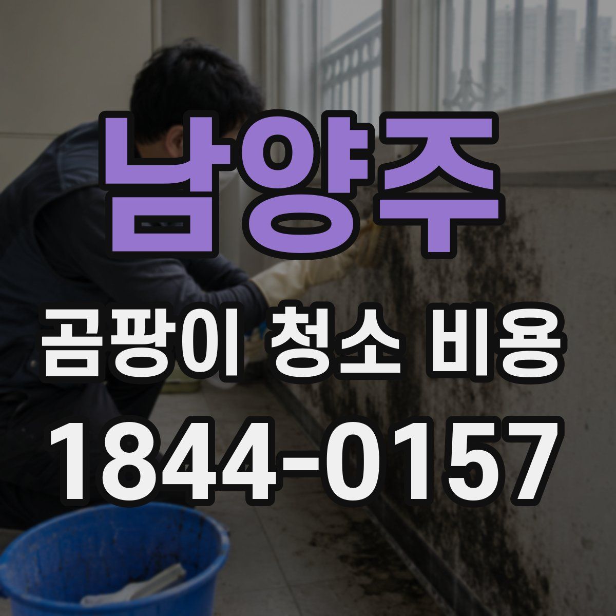 남양주 곰팡이 청소 비용