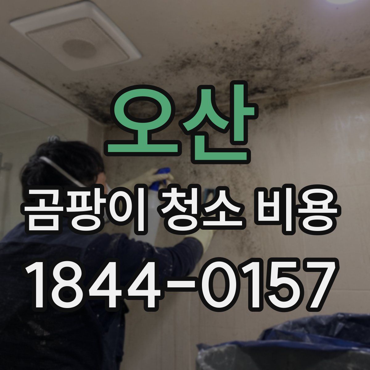 오산 곰팡이 청소 비용