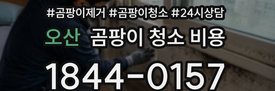 오산 곰팡이 청소 비용