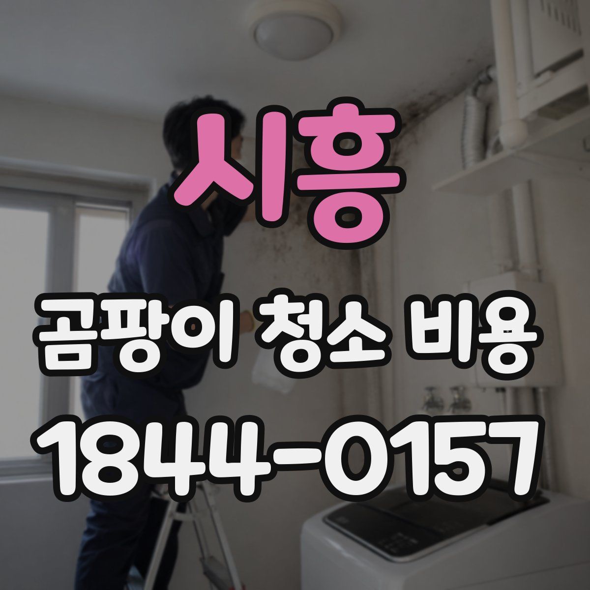 시흥 곰팡이 청소 비용