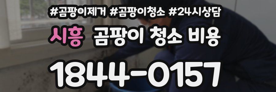 시흥 곰팡이 청소 비용