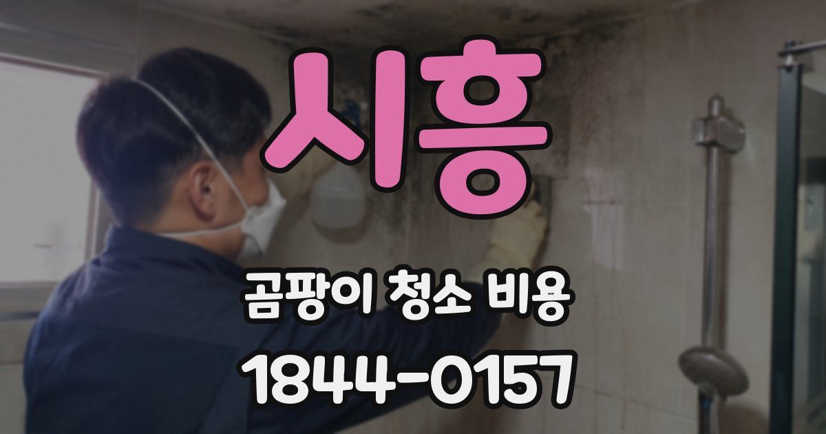 시흥 곰팡이 청소 비용