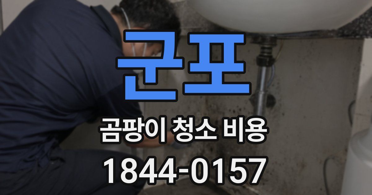 군포 곰팡이 청소 비용