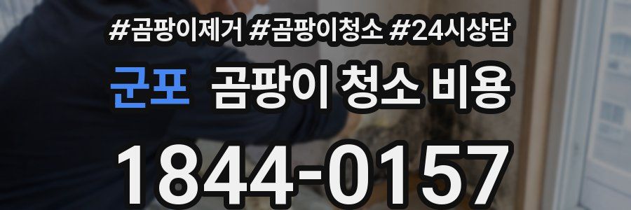 군포 곰팡이 청소 비용