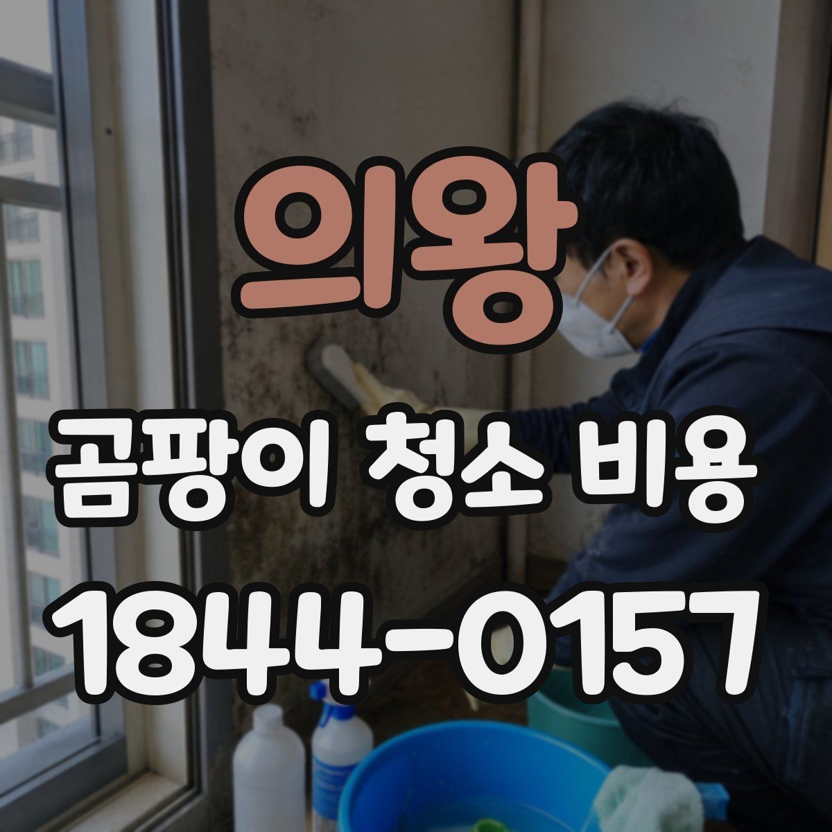 의왕 곰팡이 청소 비용 환기 불량 공간에서 작업이 어려운 이유