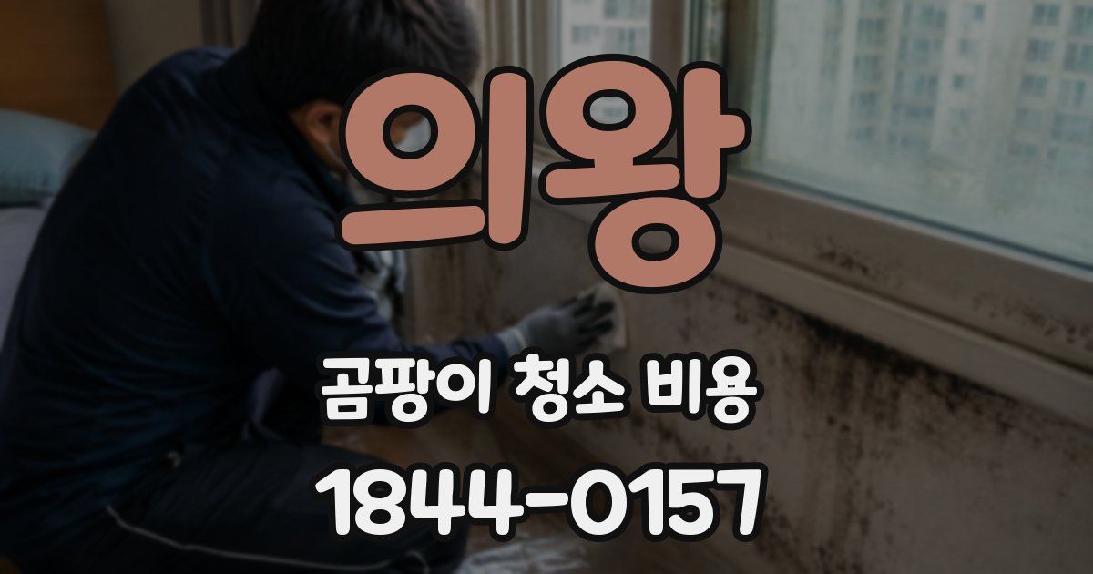 의왕 곰팡이 청소 비용