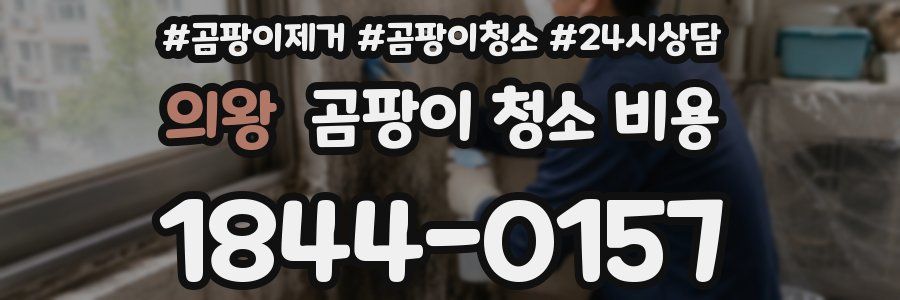 의왕 곰팡이 청소 비용