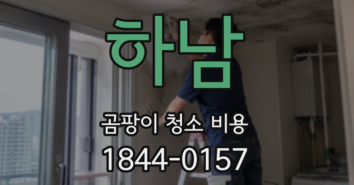 하남 곰팡이 청소 비용