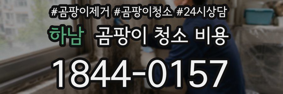 하남 곰팡이 청소 비용