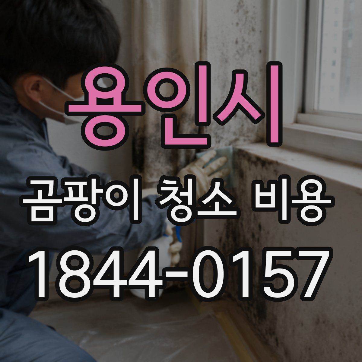 용인시 곰팡이 청소 비용