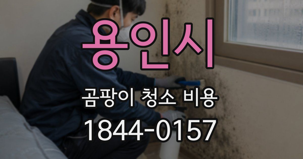용인시 곰팡이 청소 비용