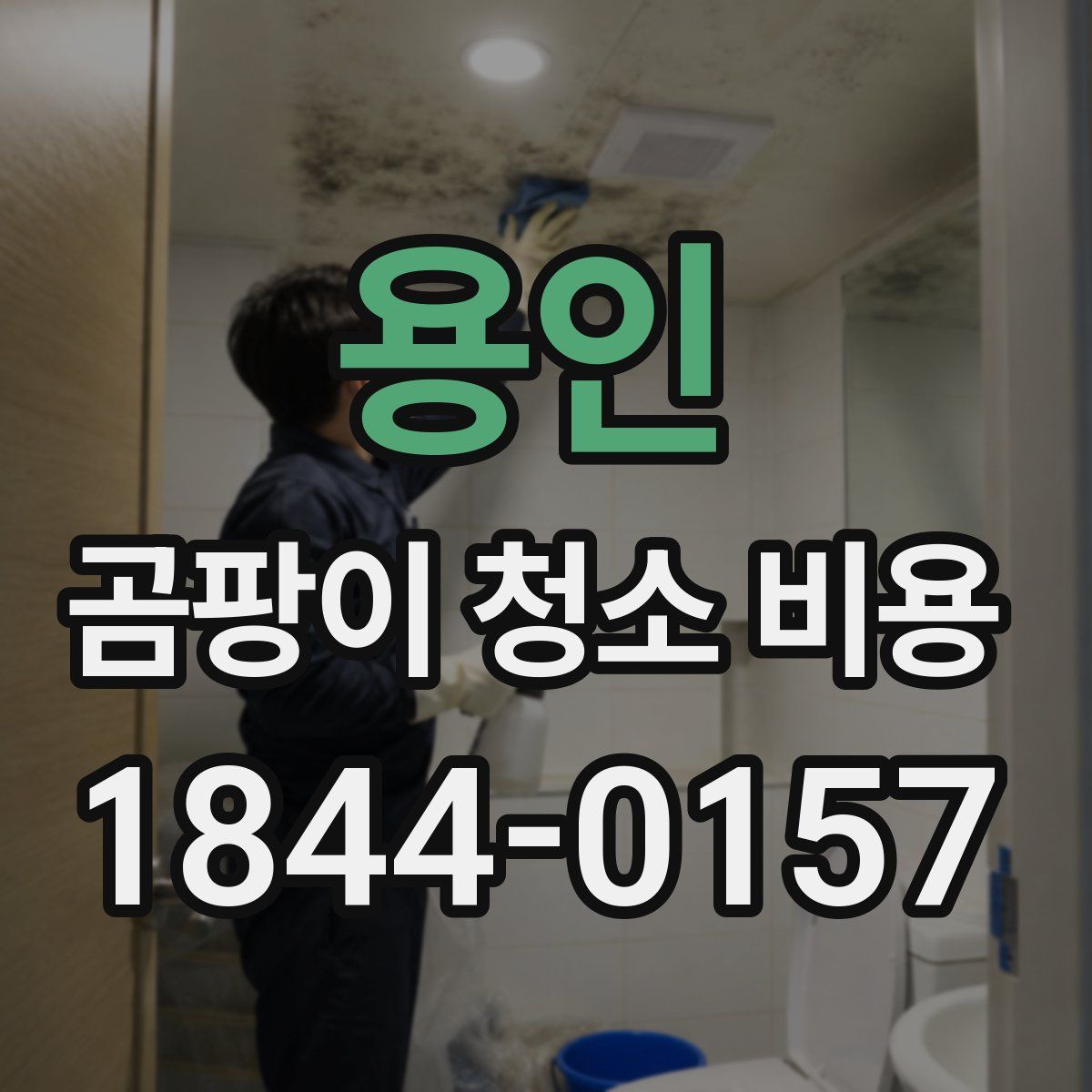 용인 곰팡이 청소 비용