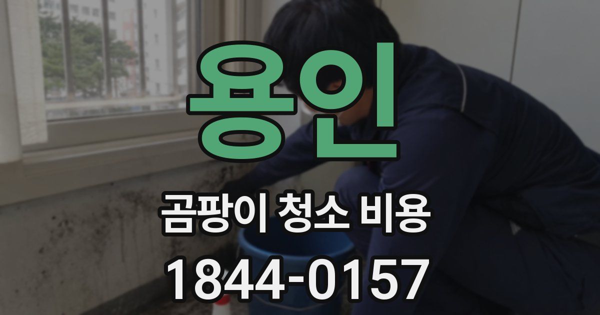 용인 곰팡이 청소 비용