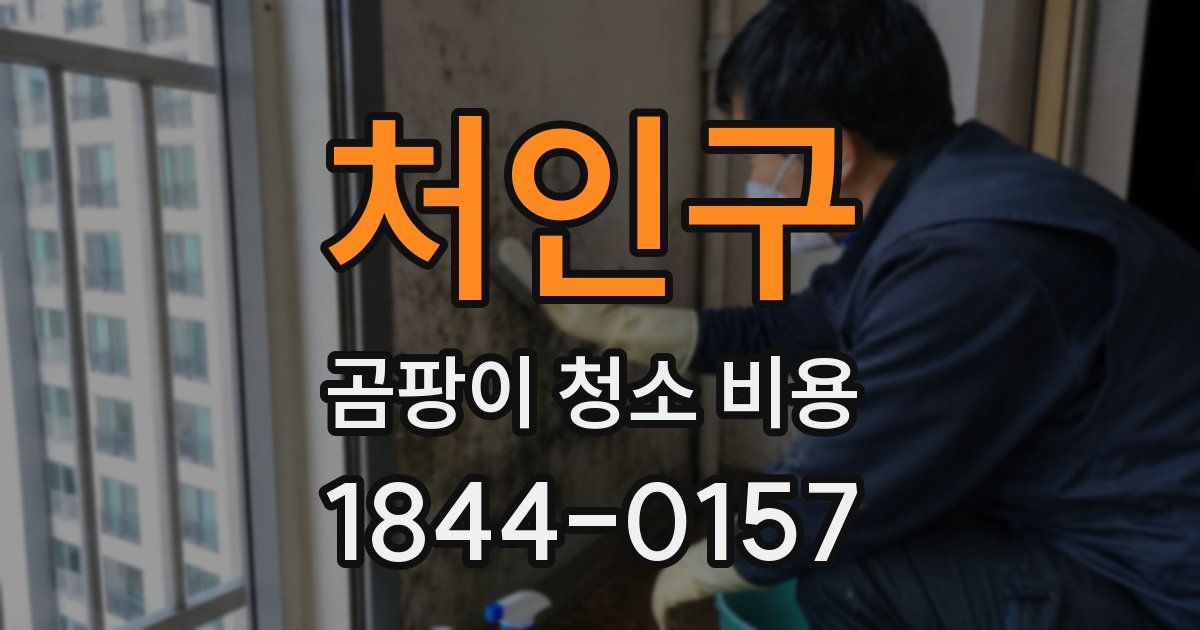 처인구 곰팡이 청소 비용