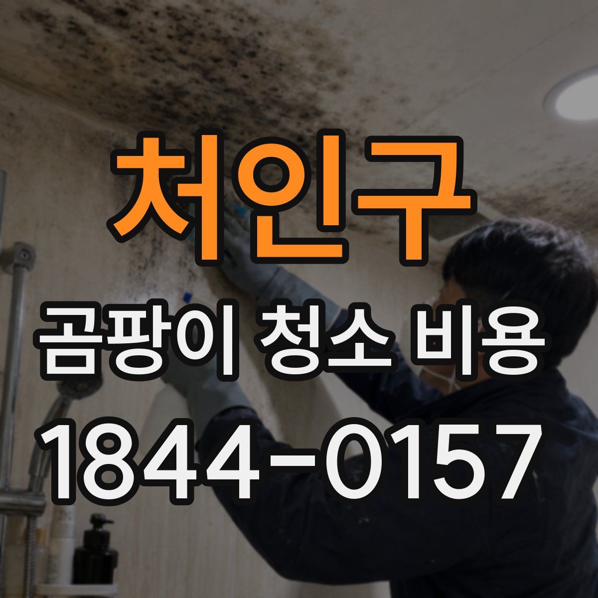처인구 곰팡이 청소 비용
