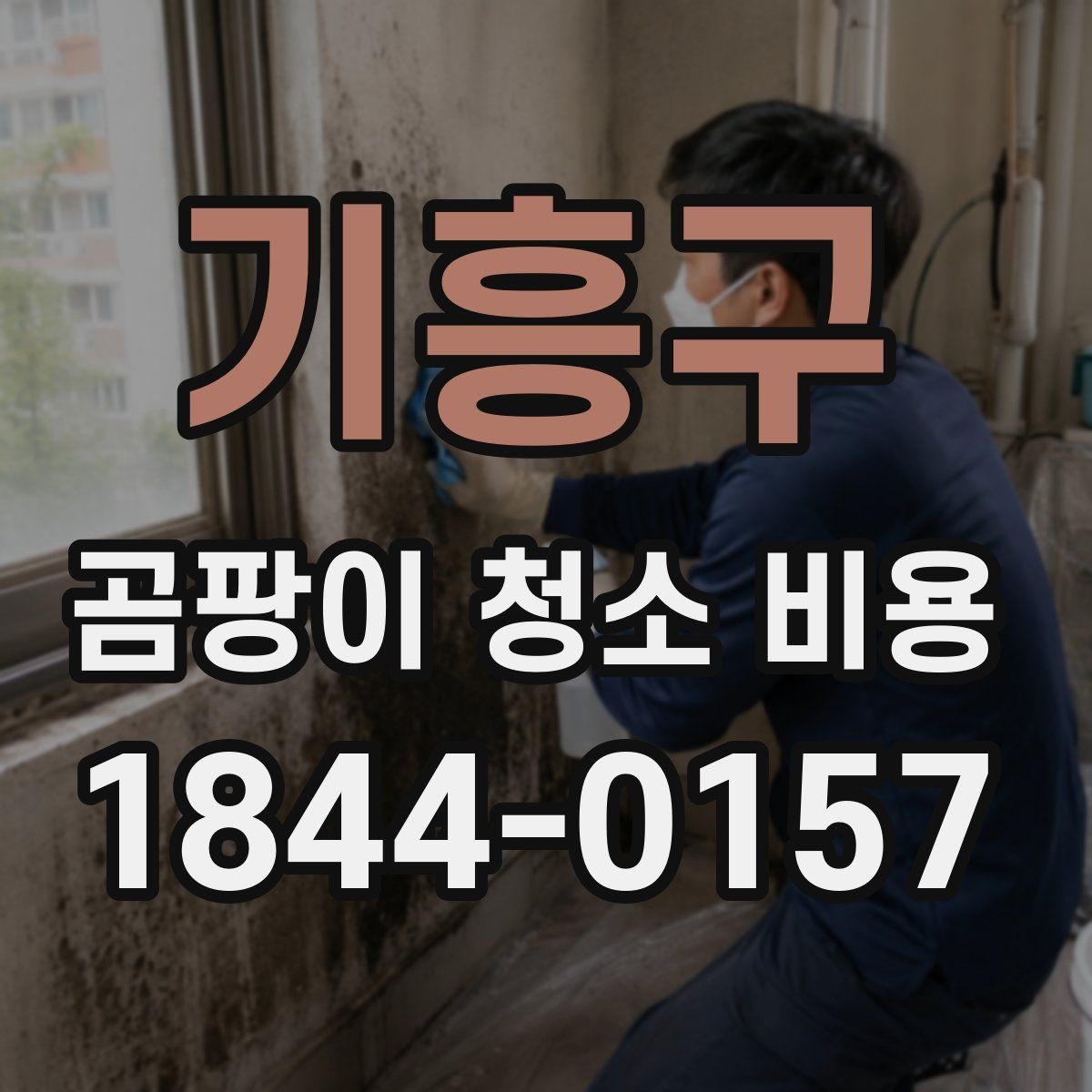 기흥구 곰팡이 청소 비용 침대 프레임과 매트 사이 곰팡이 처리