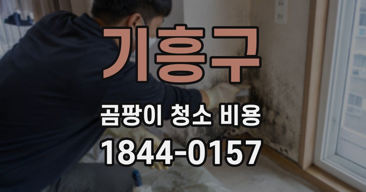 기흥구 곰팡이 청소 비용