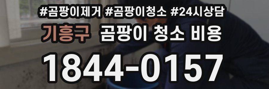 기흥구 곰팡이 청소 비용