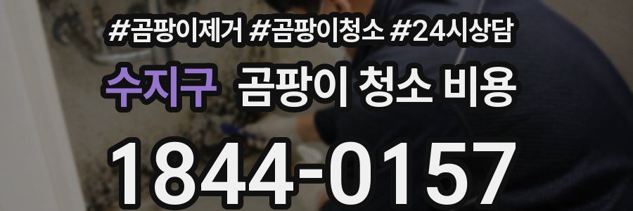수지구 곰팡이 청소 비용