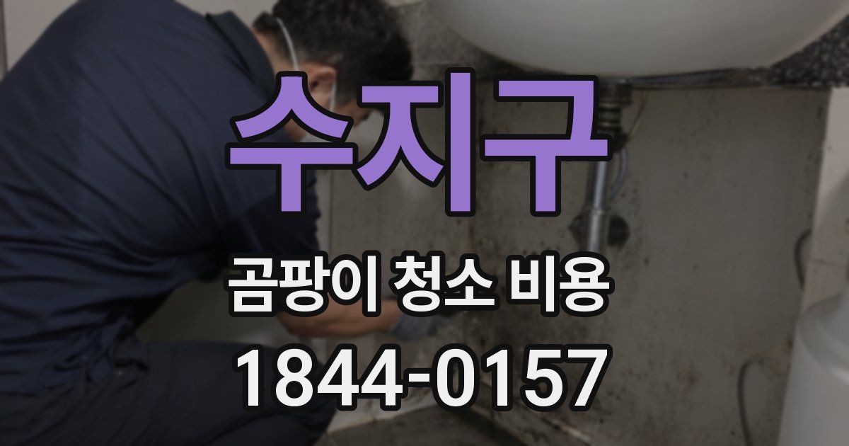 수지구 곰팡이 청소 비용