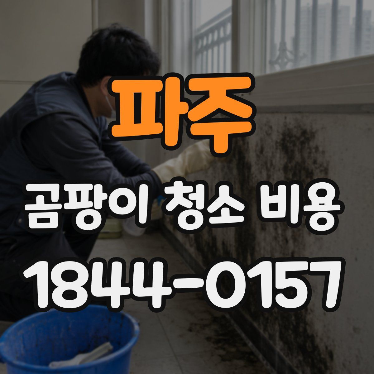 파주 곰팡이 청소 비용
