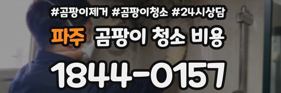 파주 곰팡이 청소 비용
