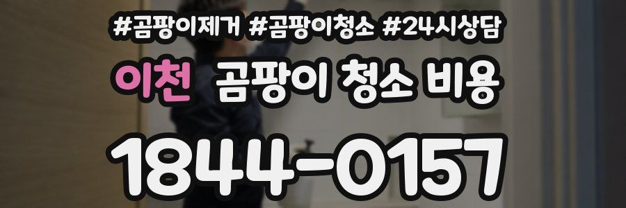 이천 곰팡이 청소 비용