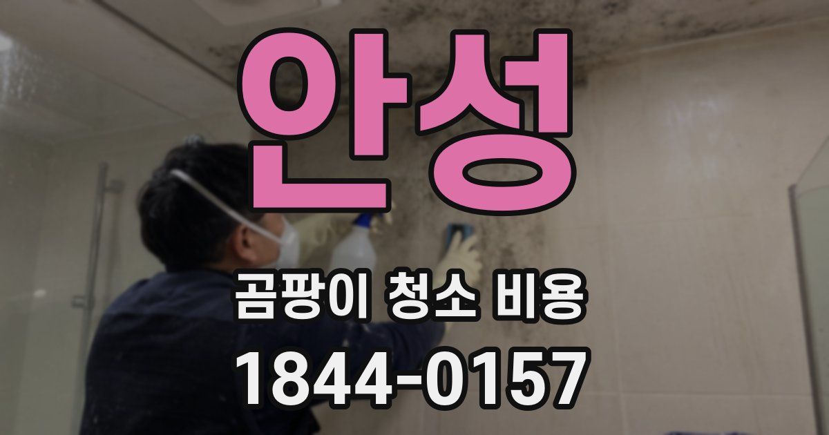 안성 곰팡이 청소 비용