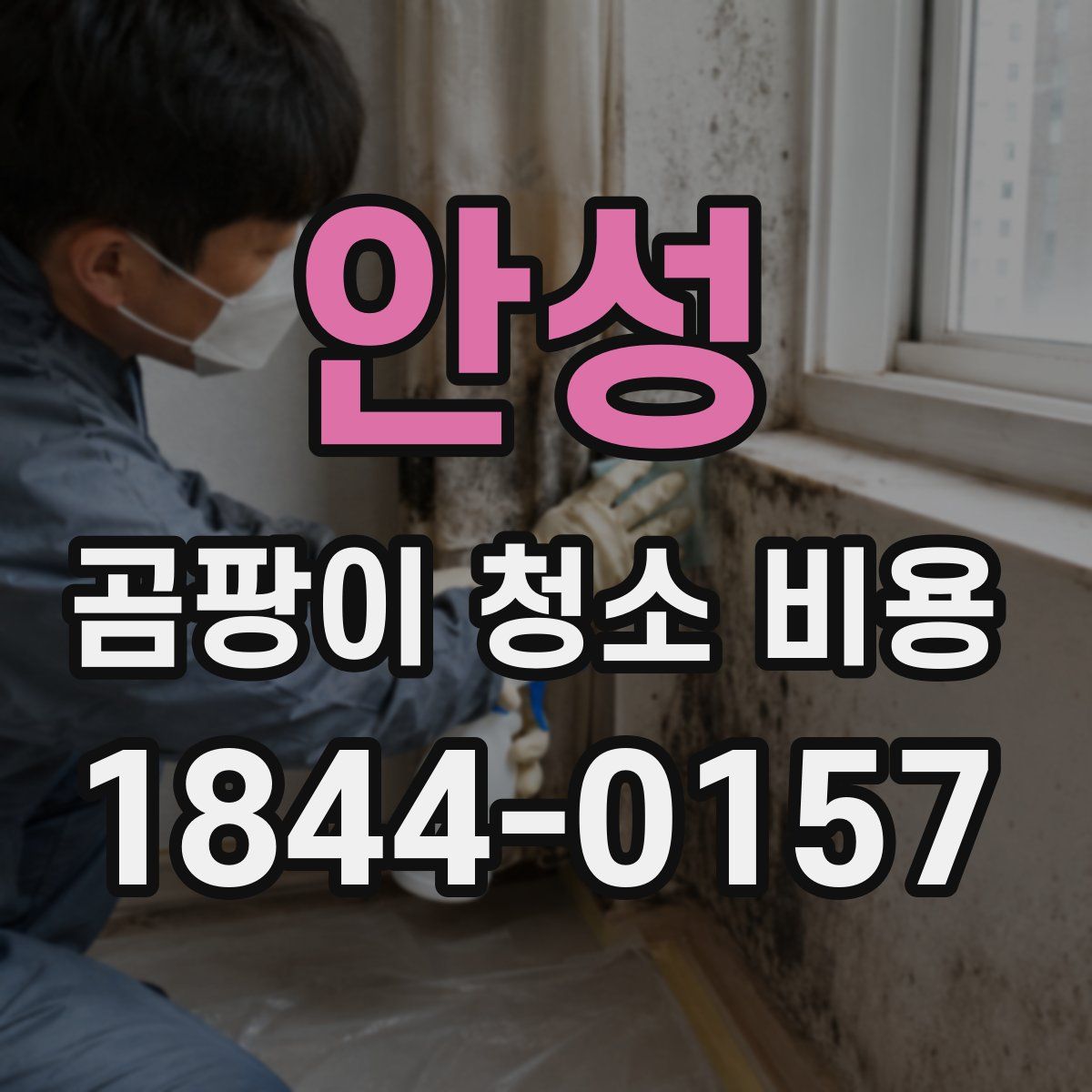 안성 곰팡이 청소 비용