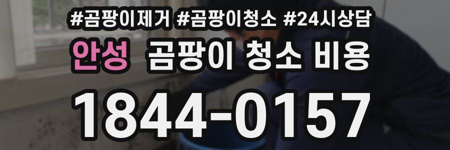 안성 곰팡이 청소 비용