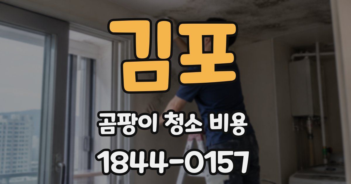 김포 곰팡이 청소 비용