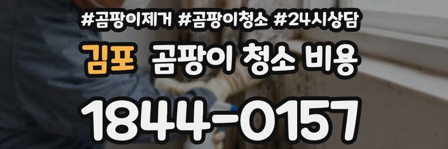김포 곰팡이 청소 비용