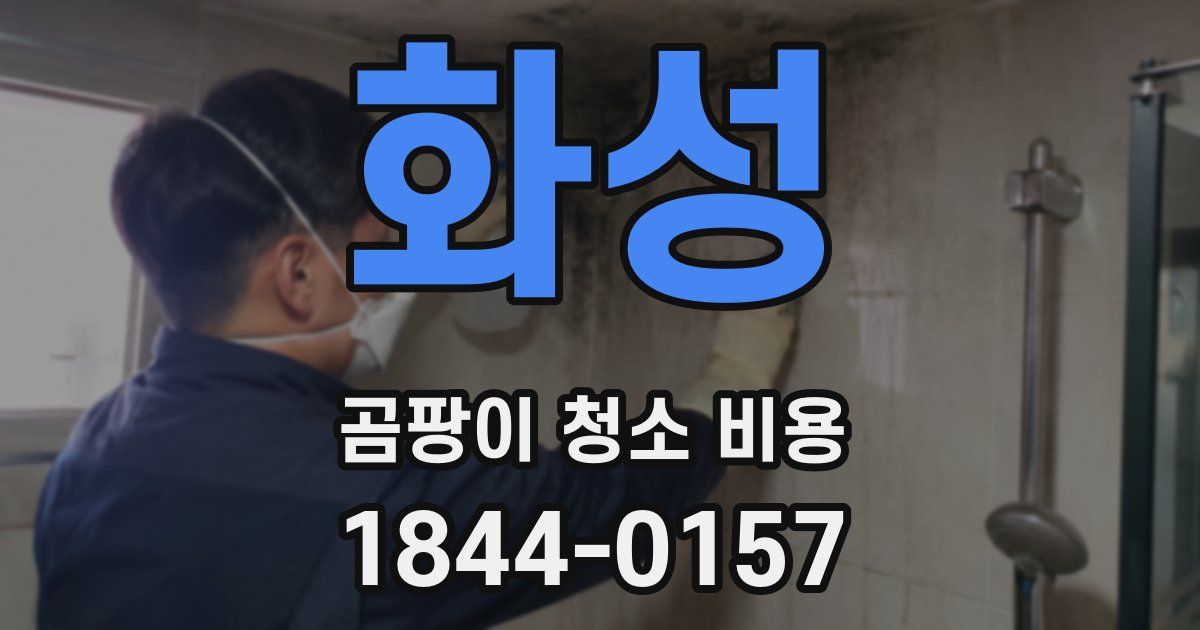 화성 곰팡이 청소 비용