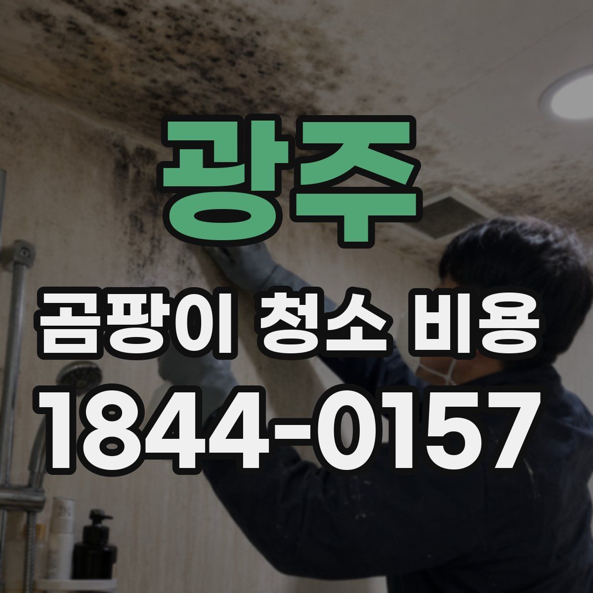 광주 곰팡이 청소 비용