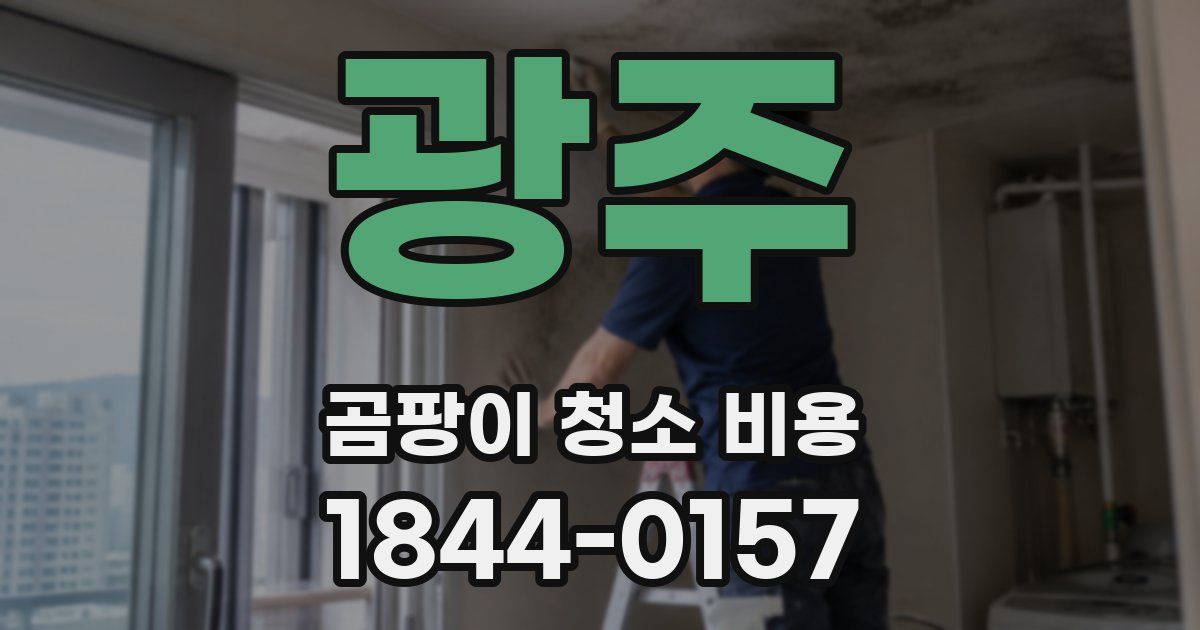광주 곰팡이 청소 비용