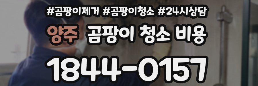 양주 곰팡이 청소 비용