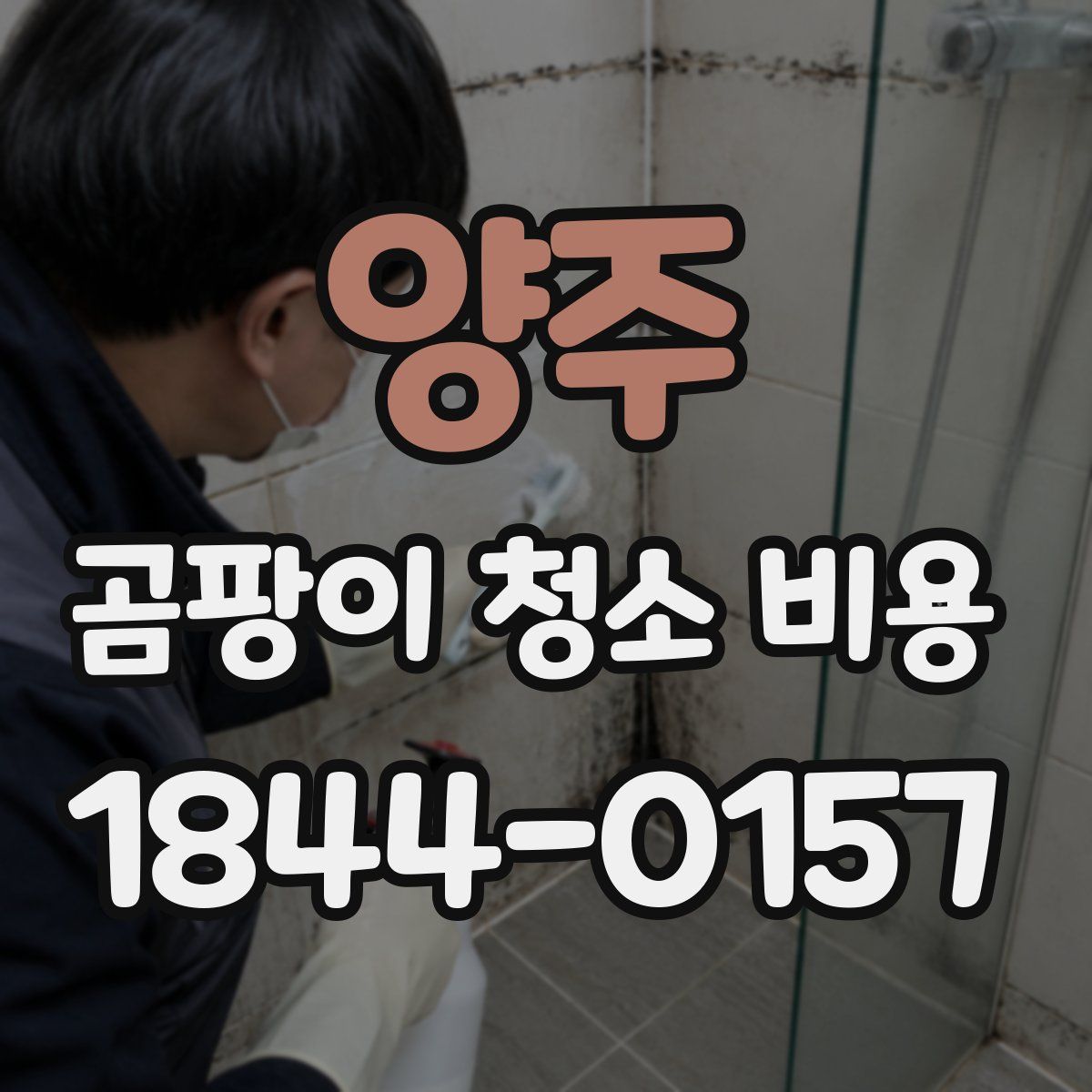 양주 곰팡이 청소 비용