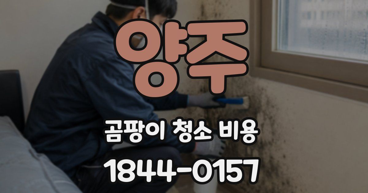양주 곰팡이 청소 비용
