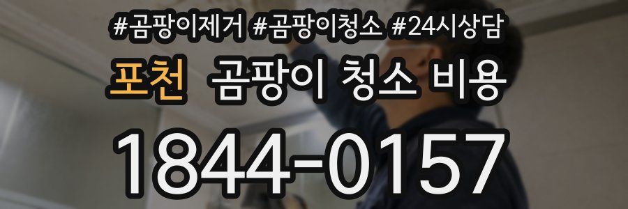 포천 곰팡이 청소 비용